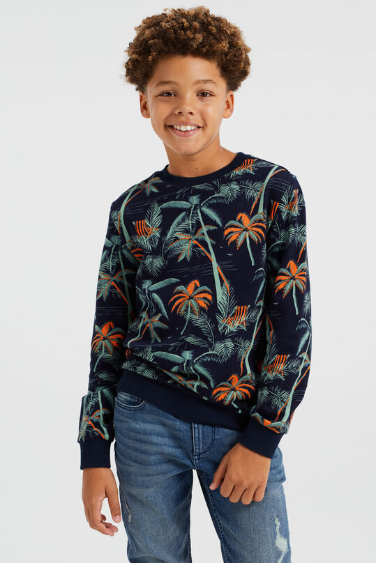 Jongens sweater met dessin, Multikleur